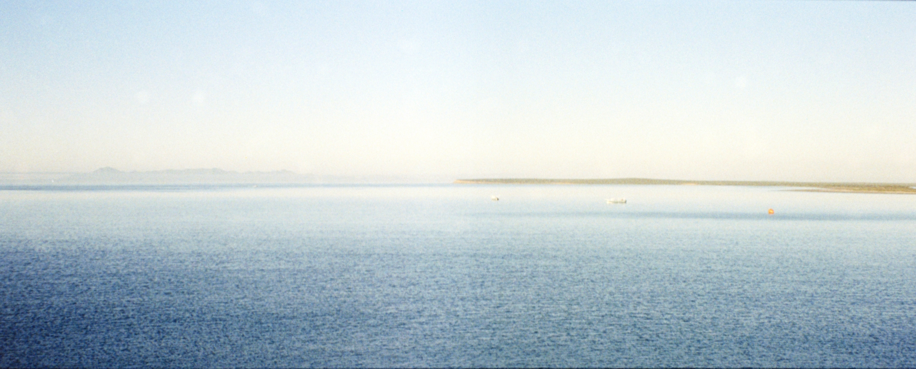 Bahia de Magdalena (2026)